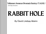 RABBIT HOLE poster for release cropped 4/3